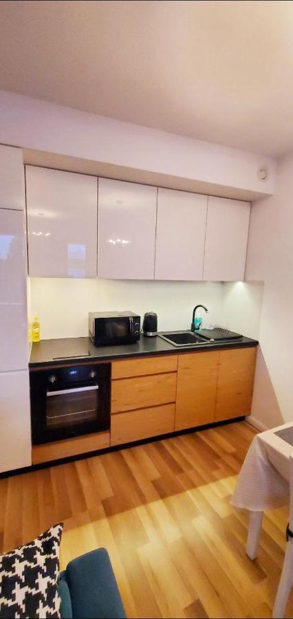 Dworska Studio Apartment Krakow Bagian luar foto
